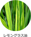 レモングラス油