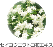 セイヨウニワトコ花エキス