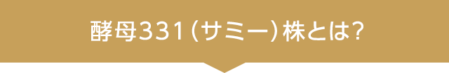 酵母331（サミー）株とは?