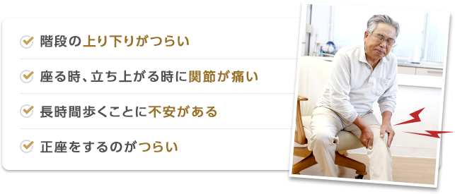 階段の上り下りがつらい、座る時、立ち上がる時に関節が痛い、長時間歩くことに不安がある、正座をするのがつらい